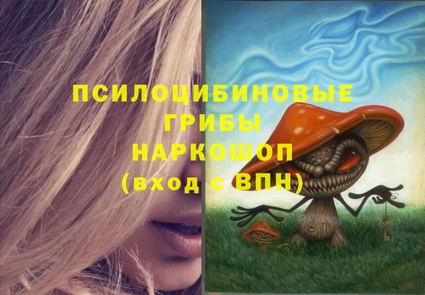 твердый Лабытнанги
