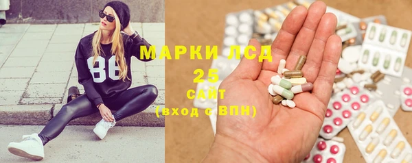 индика Протвино