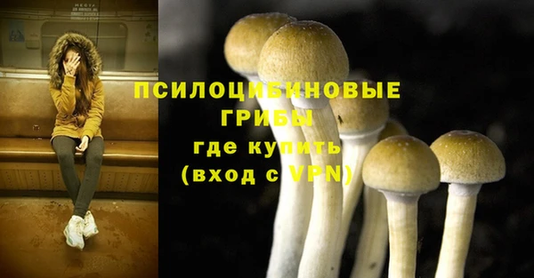 стафф Чегем