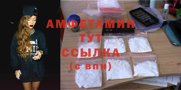 индика Протвино