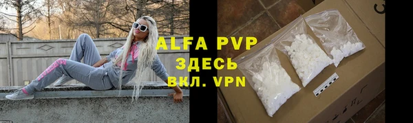 индика Протвино
