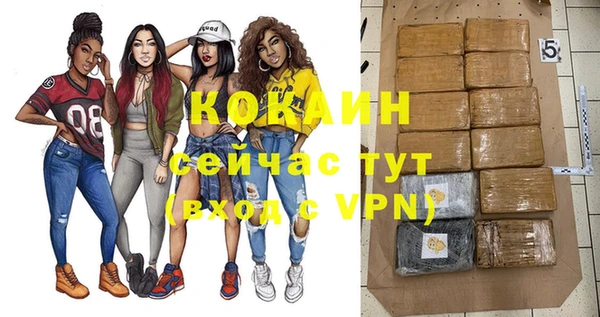 индика Протвино