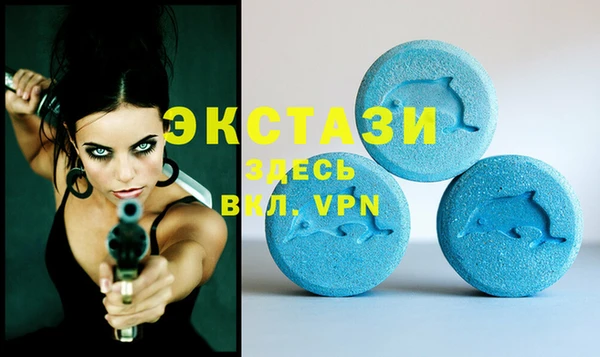 индика Протвино