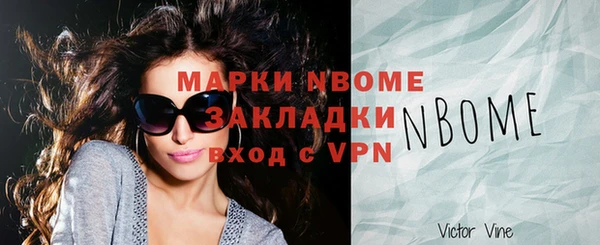 индика Протвино