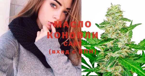 индика Протвино