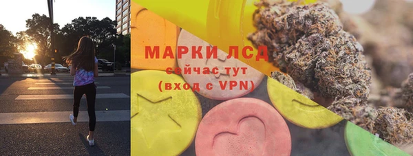 индика Протвино