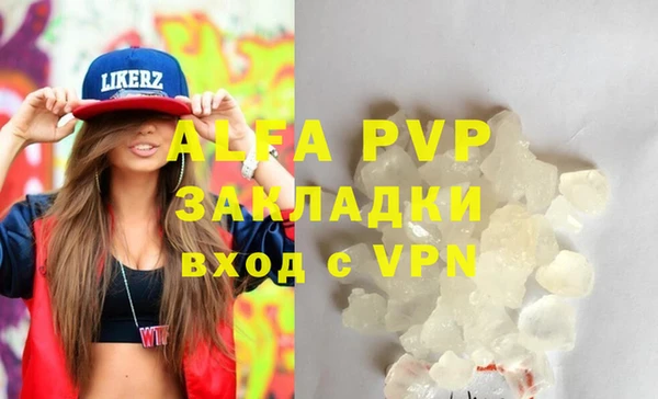 индика Протвино