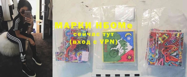 индика Протвино