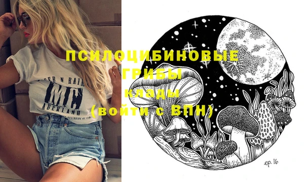 spice Ладушкин
