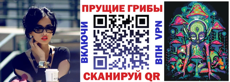 Галлюциногенные грибы Psilocybine cubensis  купить наркоту  OMG сайт  Перевоз 